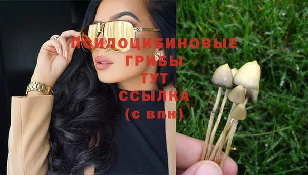 бошки Балахна