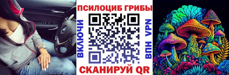 купить закладку Болохово Галлюциногенные грибы Psilocybine cubensis